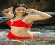 amrutha valli 05.jpg from indian actres nangi hd sexy picture
