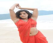 anchor rashmi gautam hot navel show stills 1.jpg from anushka telugu anchor rashmi xxx video com sex long