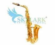 brass saxophone 250x250.jpg from meerut sax
