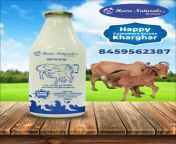 500 ml premium quality desi cow a2 milk pouch 1000x1000.jpg from indian desi milk