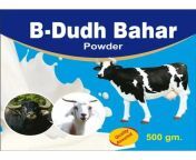 b dudh bahar powder 1000x1000.jpg from bod dudh