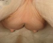 tumblr nlh727xfdm1uohcugo3 400.jpg from vulva mare