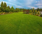 dennis7dees landscaping green lawn.jpg from lawn