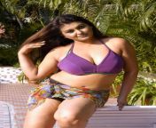 baobua com sona heiden hot bikini in sokkali tamil movie spicy stills 1.jpg from tamil actor sona anty full sex video