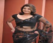 hot mallu actress saree navel show pics 3.jpg from www sexy mallu com