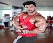 83 833305 the gallery isahilkhan top 5 indian bodybuilders.jpg from indian body show