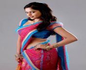 bindu madhavi half saree photos 005.jpg from tamil actress bindhu madhavi s