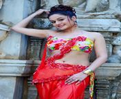 sonia agarwal spicy hot photos gallery cf 010.jpg from tamil actress soniya agarval sex debor vabi sex videoww babita xxx open photo com village house wife newly married first night sex xxx video 3gpsunny leone without clothes xxx kiss