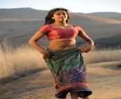 priyamani hot pics51.jpg from tamil actress priyamani sexpot sexy kissing videos