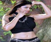 sneha tamil heroine hot navel abdomen curve plus size model actress kollywood.jpg from fat tamil ho
