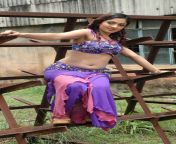 actress sheela hot navel stills 28829.jpg from malayalam old actress sheela hot