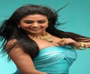 priyamani hot sfg 3.jpg from tamil actress priyamani mali videosemparuthi serial actress nude