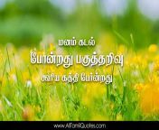 amazing tamil life inspiration quotes hd wallpapers best life motivational thoughts and sayings in tamil whatsapp dp messages pictures tamil kavithaigal images free download.jpg from tamil shemel sex xxx à¦…à¦ªà§ à¦