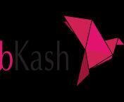 bkash logo 768x512.png from bkash