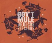 11998 govt mule the tel star sessions lp 5ace1c4d2e8f2.jpg from star sessions se
