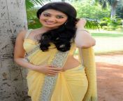 south indian actress pranitha saree 5.jpg from pranitha photos bhabhi and aunty hips sex