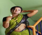 hot tamil aunty show insaree 3.jpg from new aunty tamil