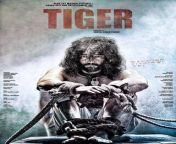 tiger 2016.jpg from tiger movie hollywood film horror movies film new film picture movie film new full movies