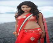 actress amala paul spicy navel show stills red saree 3.jpg from amala pol hot nevel