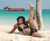 tamil actress latest hot 0078.jpg from old tamil actress nirosha bikini ass xxx com karena kap