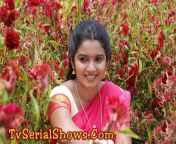 tamil tv serial actress srithika pictures actress srithika photo gallery.jpg from sun tv serial actress srithi
