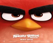 the angry birds movie teaser poster.jpg from angry birds full telefilm