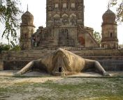 frog temple lakhimpur kheri.jpg from indian desi dudhwa