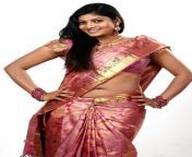 0009 sowmya telugu model hot photos in saree 9 .jpg from telugu andhra saree sexmil actress pathima babu nude phntos