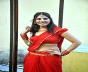 actress reshmi saree below navel show photos in red saree 1.jpg from saree big boobs photostat