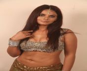 neetu chandra hot in settai movie stills 002.jpg from indian sx video tamil neetu chandra actress xxx sex videos