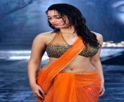south indian actress wet saree hot photos8.jpg from actress hot wet rain saree