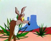 wile e coyote and the road runner going going gosh.jpg from sinhala road runner cartoon