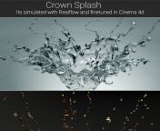 crown splash preview jpgautocompressformatfitcropcroptopw590h590s1da1b63d855683ea17697cdf909d883c from machete01 todlercon 22