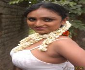 indian hot masala vahida hot 2.jpg from actress waheetha masala sex