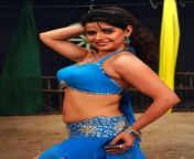 madhu sharma navel spicy picture other.jpg from bhojpuri actress madhu sarma sexy wallpaper