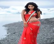 amala paul hot navel in saree naayak movie stills 28129.jpg from tamil actress amala pal xxx photoimg jpg4 net school