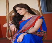 pranitha saree stills hot images wallpapers photos pictures gallery 2.jpg from tamil actress pranitha