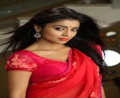shriya saran south indian actress hd wallpaper 007 jpeg from siya saran