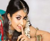 amala paul spicy wallpapers 14.jpg from south actress indian actress amala paul wallpaper thumb jpg