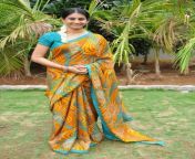 telugu tv serial actress meena in saree stills photos gallery 2c24ca.jpg from tamil actress meena xxx imagesal bp
