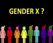 burnd.jpg from gender x