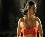 ageless beauty actress kasthuri shankar sexy hot photos 1 jpgw640 from tamil actress kasturi hot