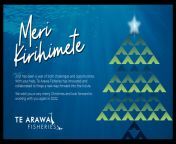 rs03978 te arawa fisheries xmas cards 1024x576.png from png arawa po