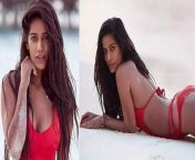 msid 91935359imgsize 64956 cms from bollywood actress poonam pandey nude