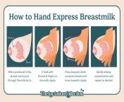 how to hand express breastmilk infographic.jpg from manually express breastmilk