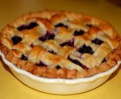 blueberry pie lilszeto.jpg from oral pie