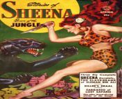 sheena cover.jpg from www jungle ki sheena