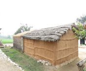 typical indian jhopdi house which straw thatched walls made mud s strong built its village 39900144.jpg from village jhopdi se