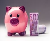 piggy bank pink piggy save five hundred euro banknotes toned photo 77291663.jpg from piggy gold yggwin【yggjogos com】piggy gold yggwin【yggjogos com】w4b