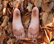 soles bare feet dirty little girl hidden dry leaves 45840079.jpg from cum ön dirty soles feet